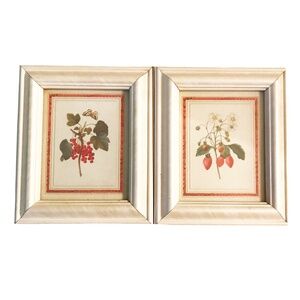 Vintage Hart Lake Framed Summer Berry Prints